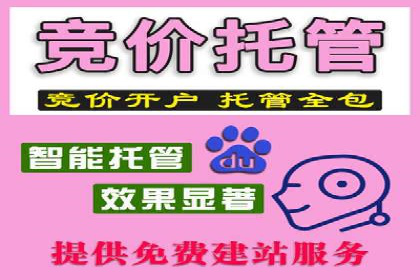 SEM优化策略：实战案例解析与优化技巧